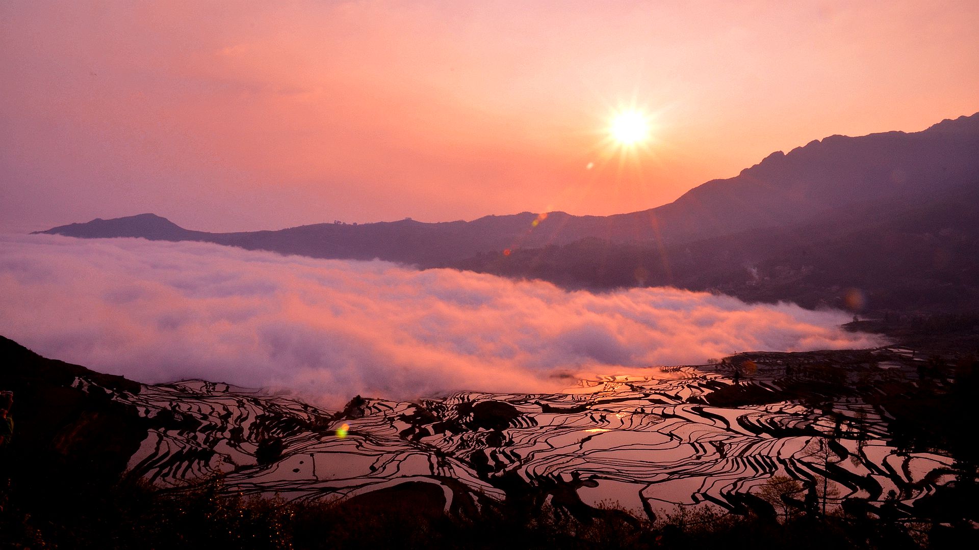 普坪村
