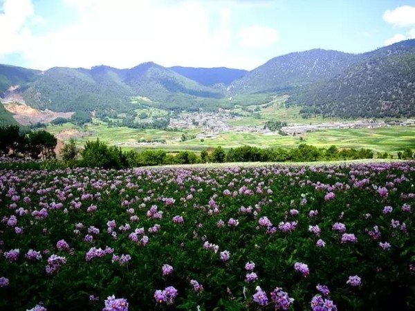 邑头村