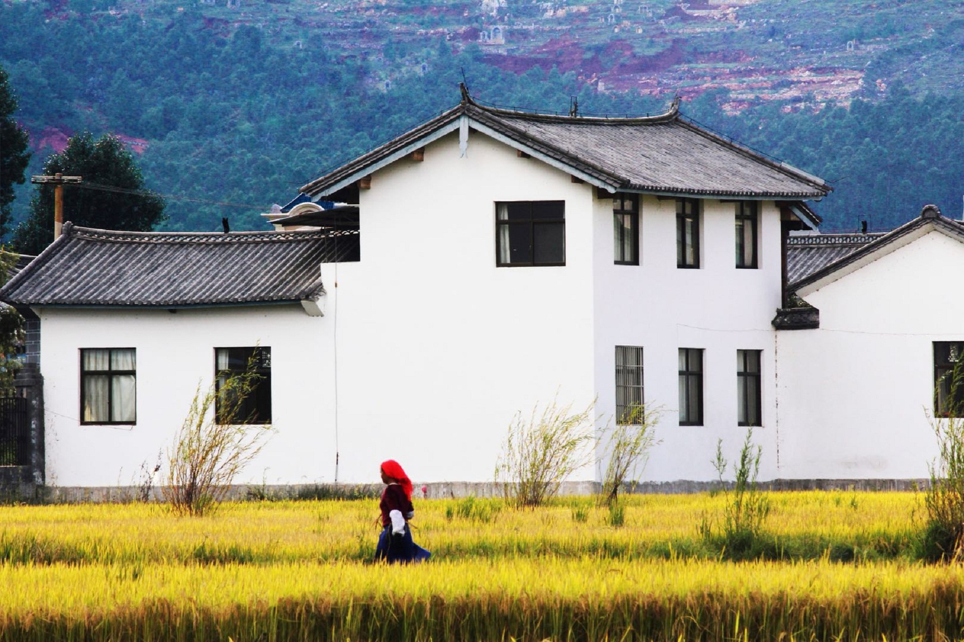 积德村