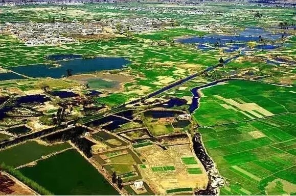 金墩乡