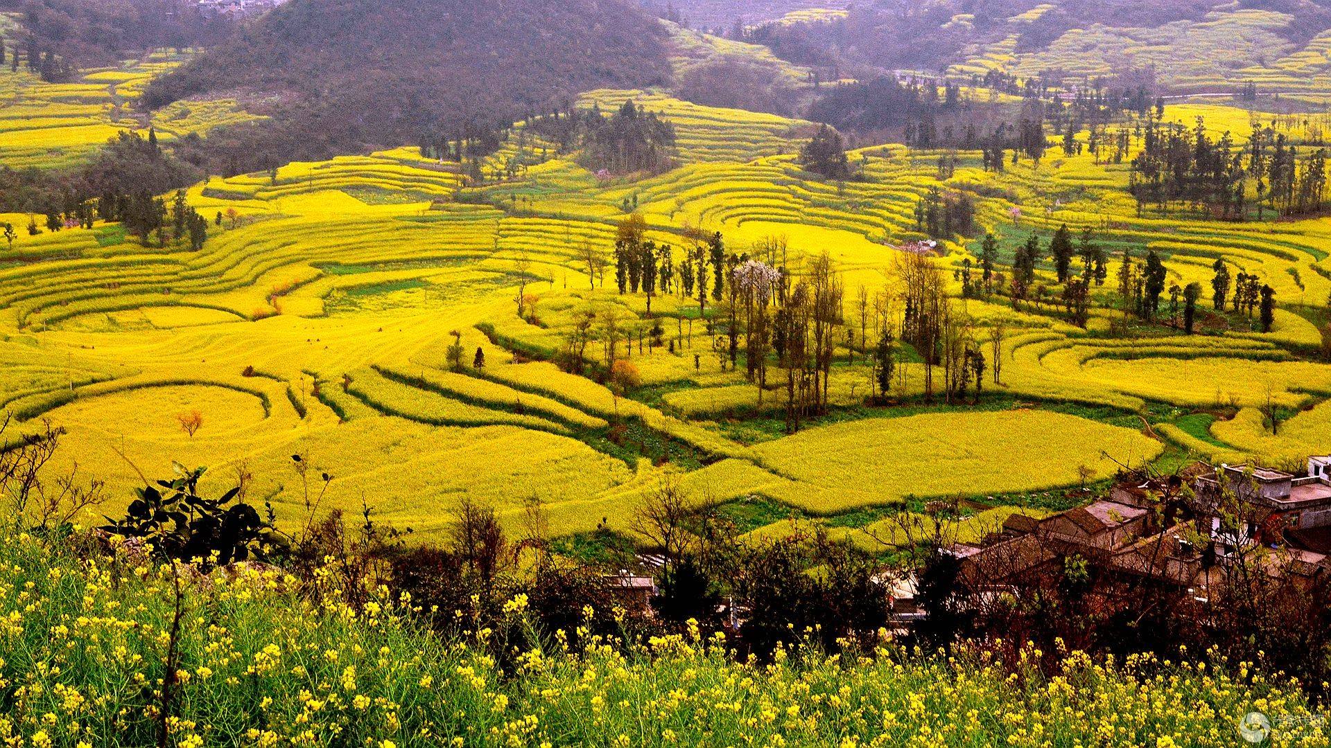 秀岭村