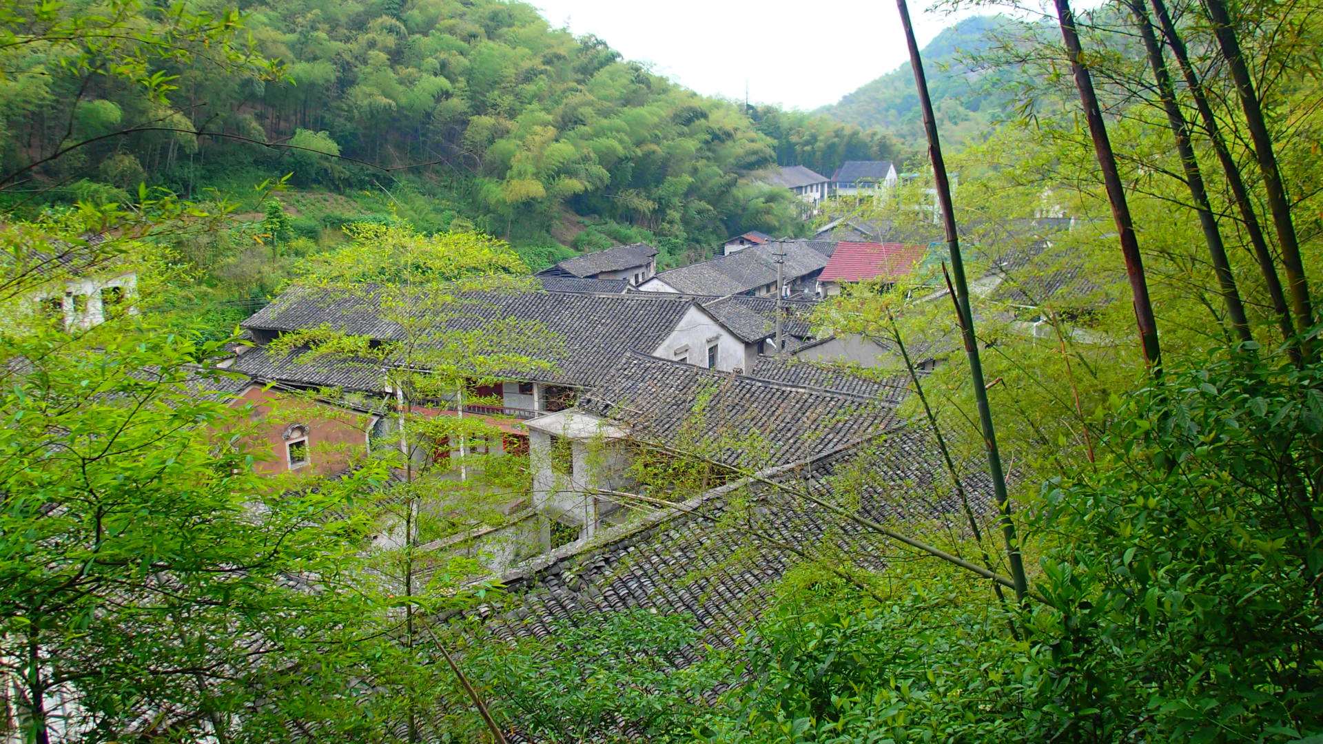 密古村