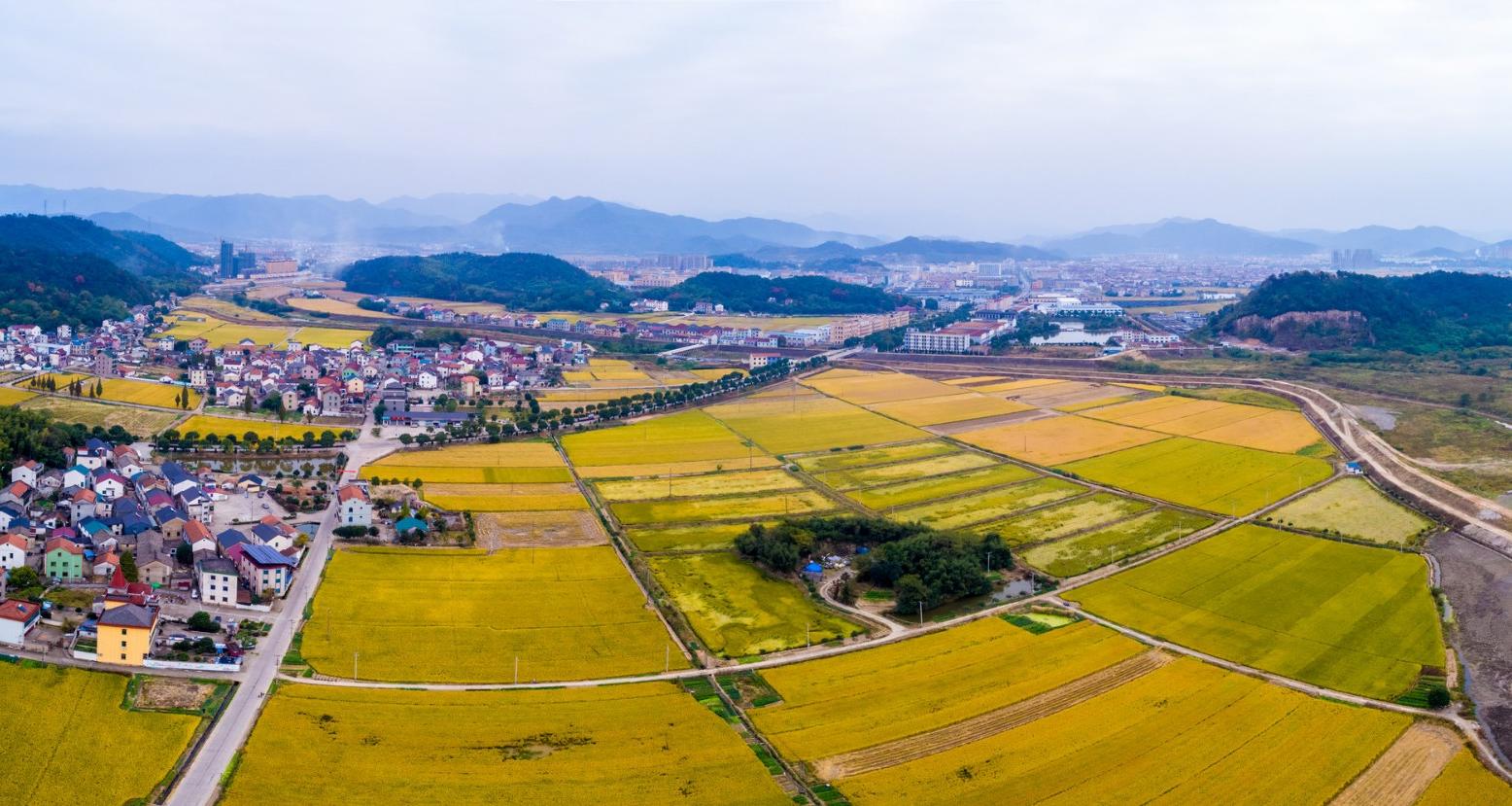 民主村